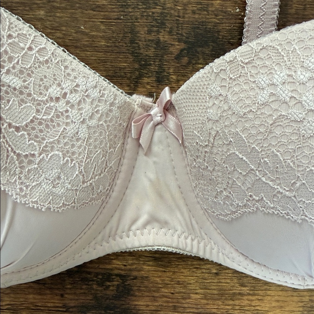 Secret Possessions Pale Pink Lace Push-Up Bra - Picture 3 of 9